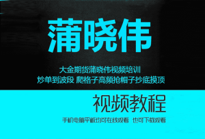 炒单到波段视频课程,大金期货蒲晓伟视频培训课程-融策资源网