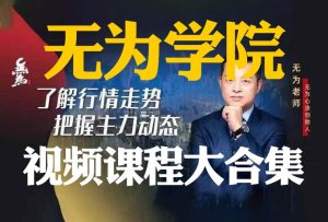 【精品视频培训】无为学院视频课程大合集,共360节课(150G)-融策资源网