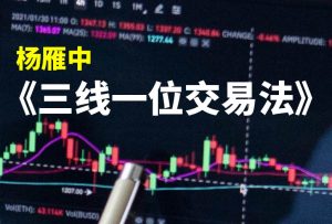 【波段】杨雁中老师《三线一位交易法》交易视频-融策资源网